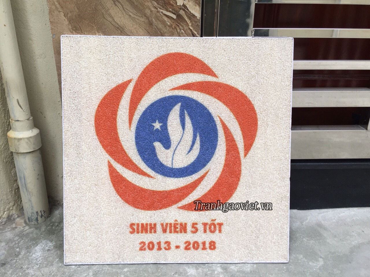Quà tặng nhà trường- Logo HSSV Việt Nam